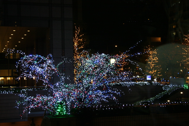IMG_5745.JPG